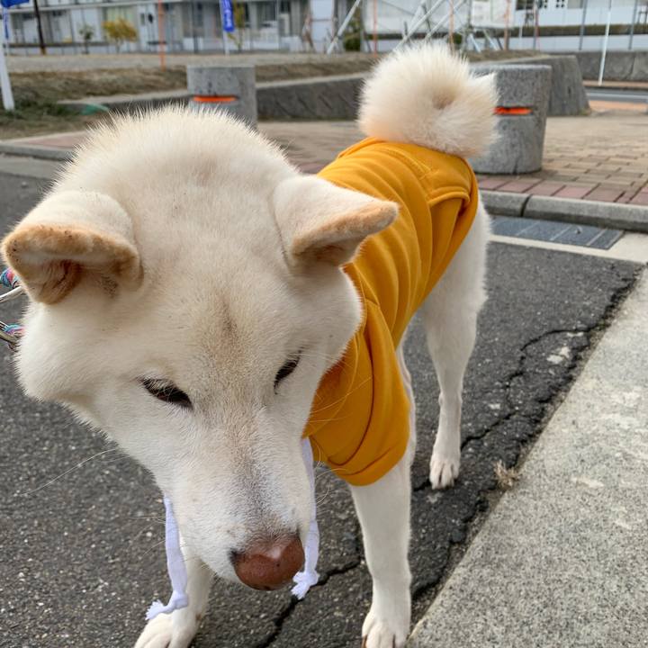 A072b2aa e085 440a 82b9 6eb6ae8237d5 1644622124828