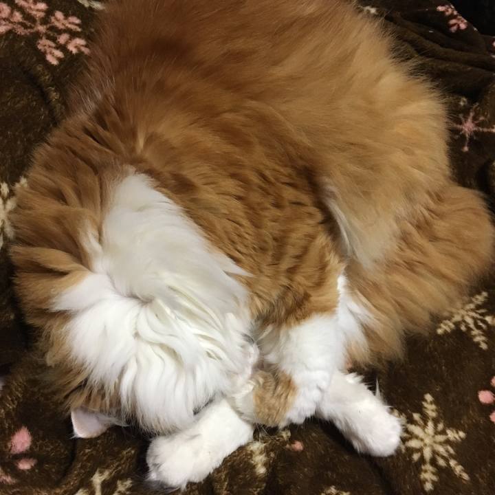 A072bb03 5b39 4a00 be0c b0059b705b26 1526227094743