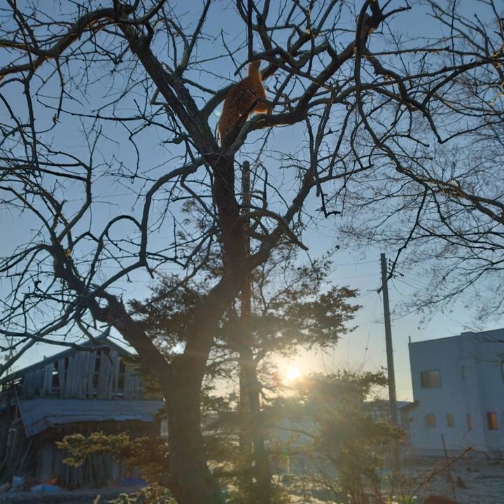 A072c90e b53c 4110 bf81 88f7c3d3094f 1704407955840