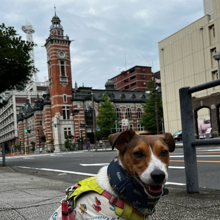 A072e3ae d811 4de3 9ea5 09c5aa3c9267 1755498760185