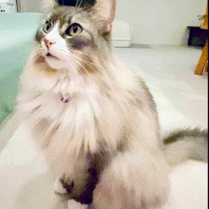 A072f996 4120 4eab af74 797f85690898 1680799421117