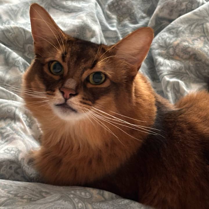 A0730d4e 01d7 4585 b94a 165beaea2f55 1759550881401