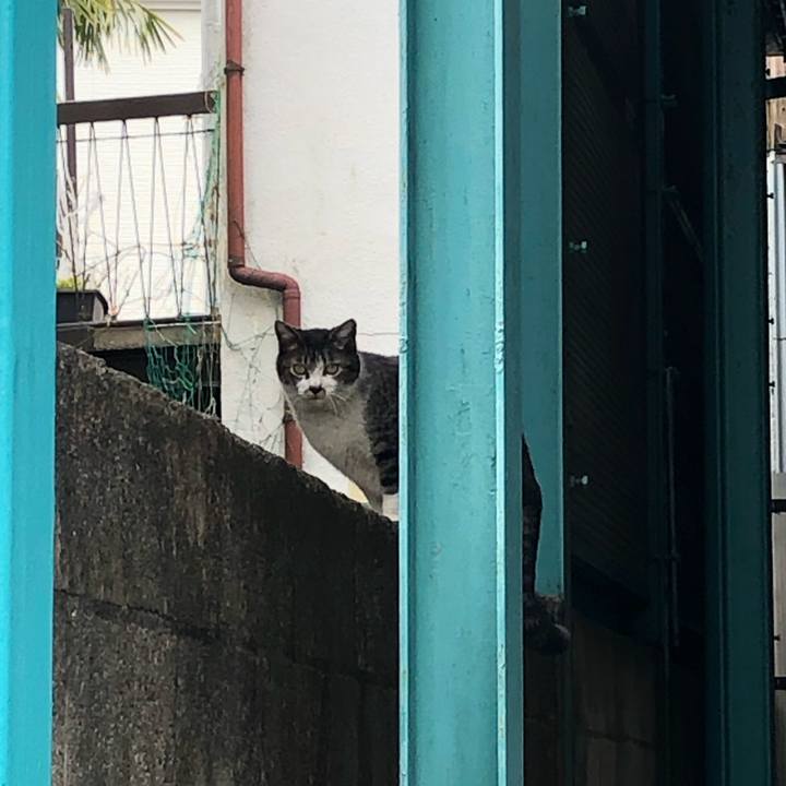 A0732367 414a 43d9 a948 890d3e15958c 1649604182093