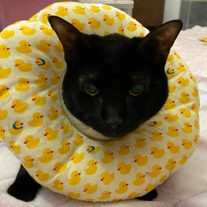 A0735e97 d505 44e0 9f85 a02fac8ee62c 1647245716666