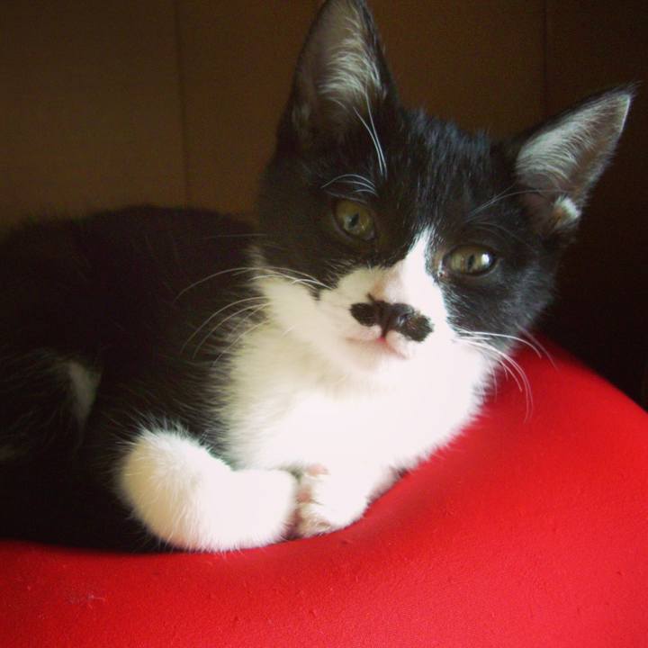 A0738f6b 2981 4a0c ba8c 8a1ec0d3ee96 1569127017506