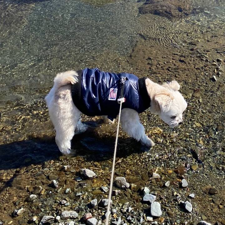 A07390f3 c463 448c a6d4 a9e15d722e11 1581414304201