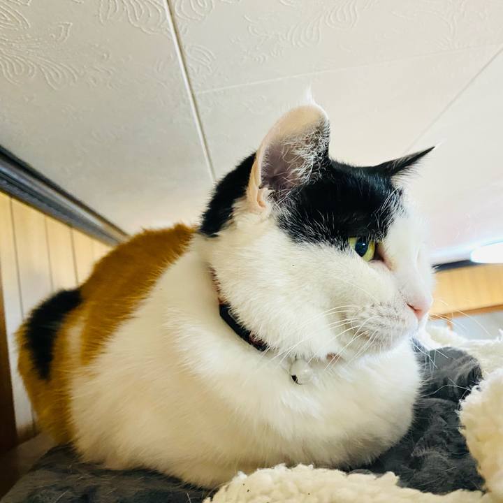 A073a9d3 ce21 4773 92c3 963ab0d618f5 1680129185775