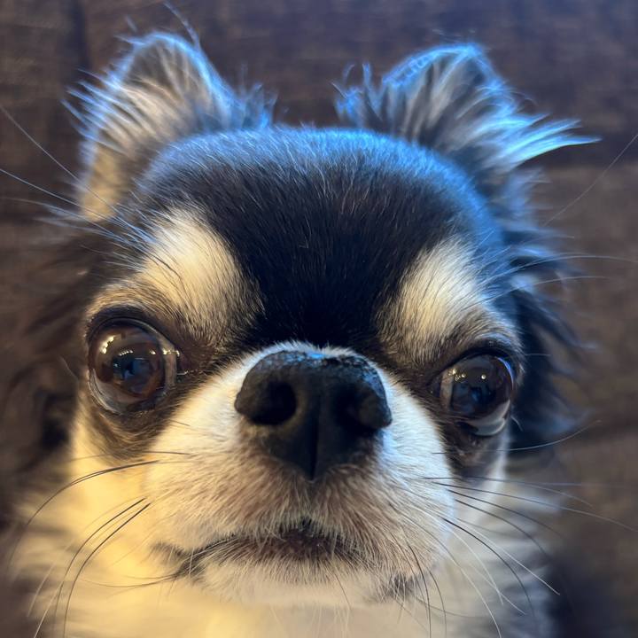 A0742d03 b6e1 4fbc b152 635c510ecd32 1753572968396