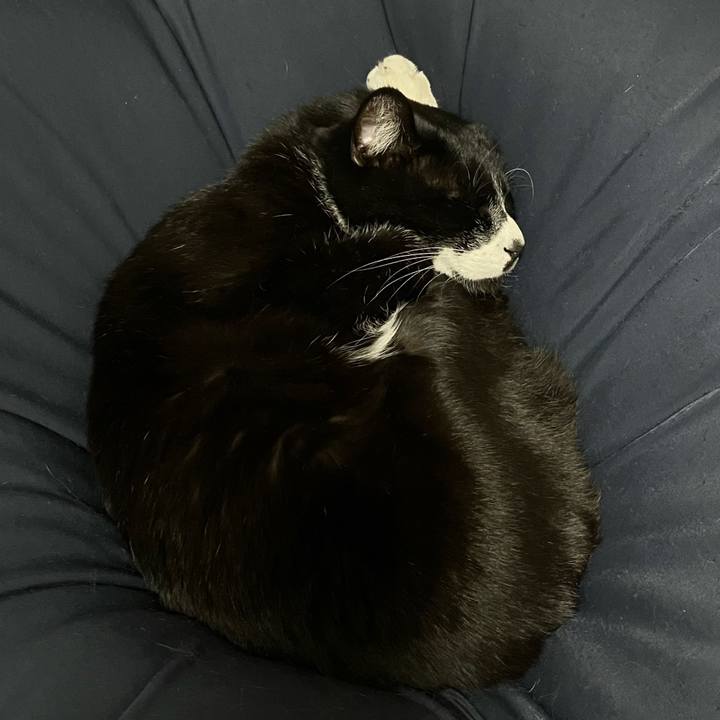 A074410c d77f 4432 9bd6 d087d8b48ca3 1711682804604