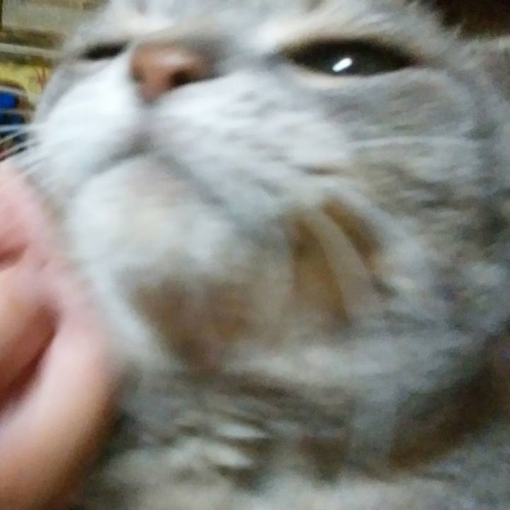 A0744995 e8bd 4c91 bb4f 492dd449ce6b 1566650842643