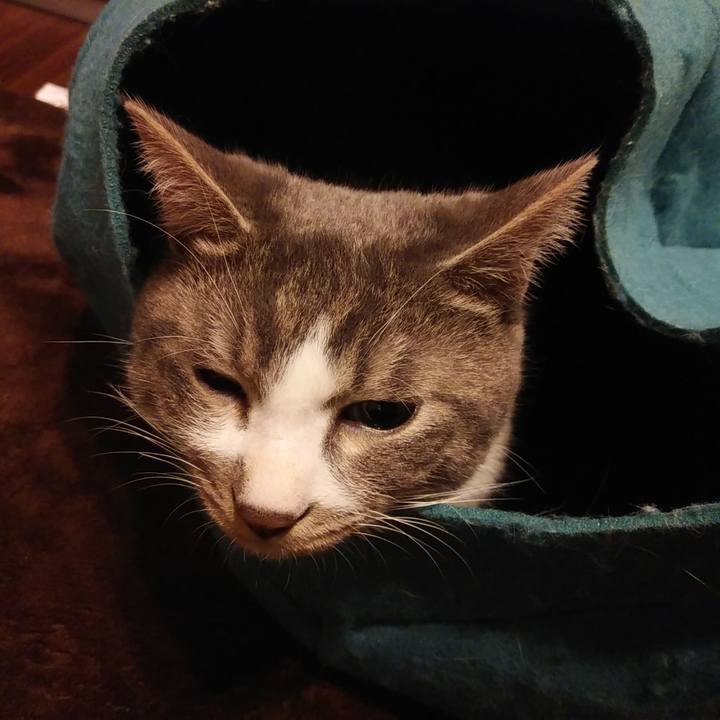 A0746fe2 0d92 4695 a036 80f8935f2b68 1579102507796