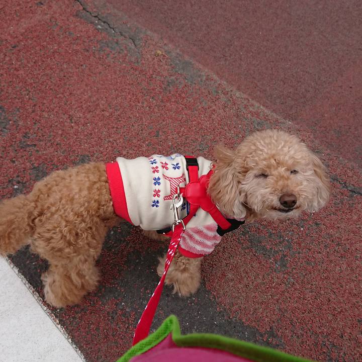 A0747521 8d3a 4f38 8bda 7ed6f5b1b3d6 1556757799148