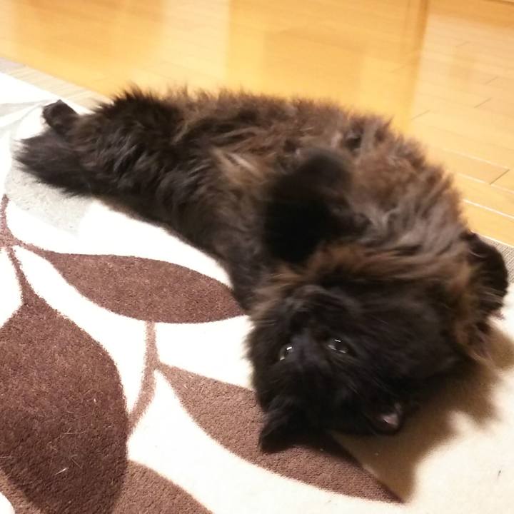 A0749c41 1acf 4b72 b233 d94014bac6f5 1572182031803