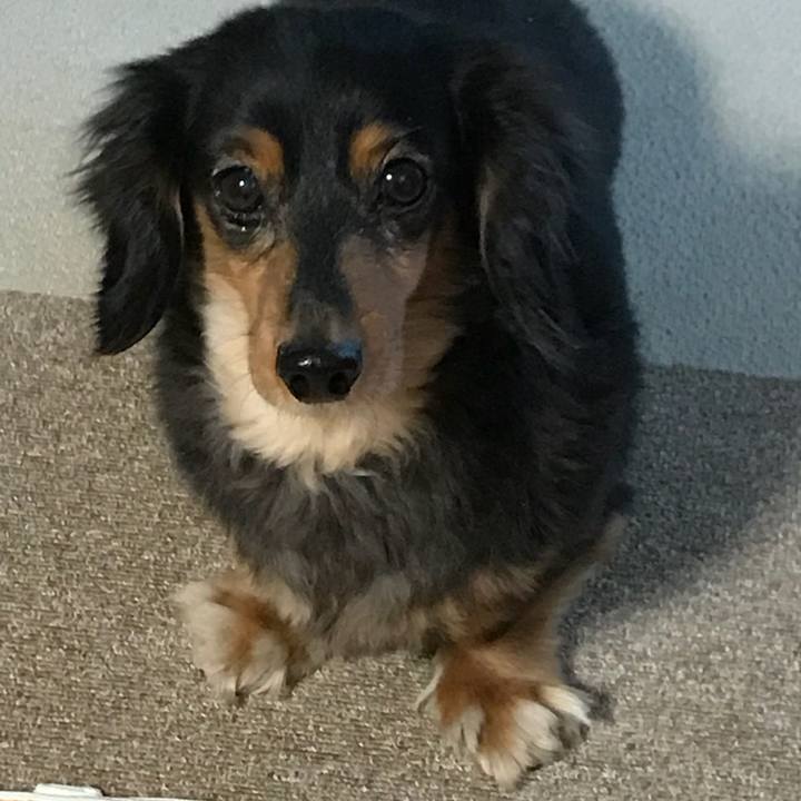 A074b98c 2e9c 489b 9e1a 27198ade4a12 1512264173382