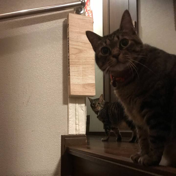 A074d3cd 9394 48c1 b3ce 6bf3a90097fb 1594210567927