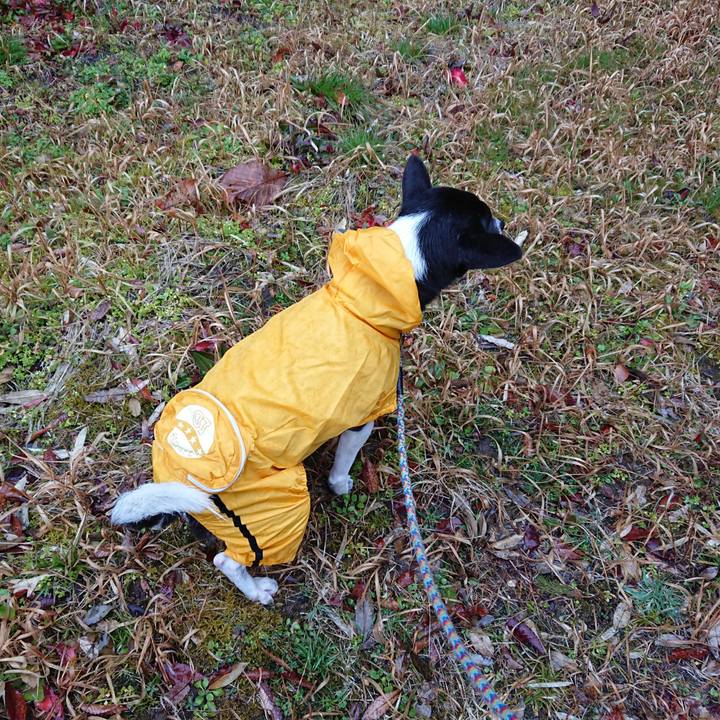 A07503b0 255c 444b 9b67 0f7da77976d1 1520211459300