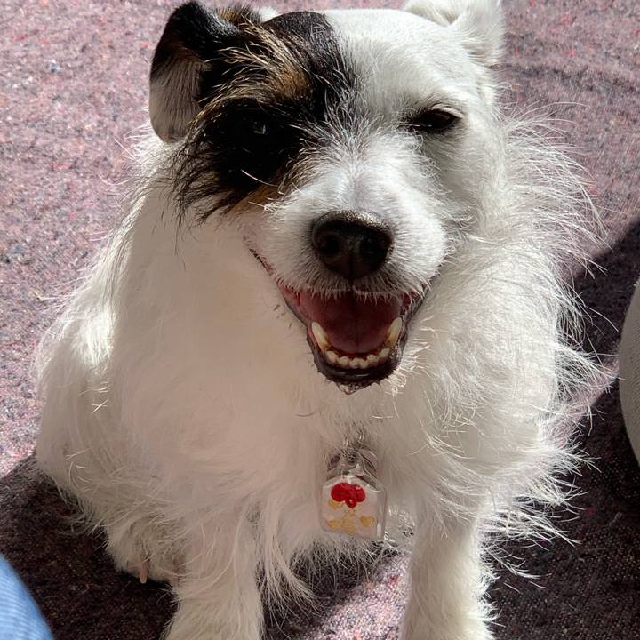 A07506ef 57aa 42f6 919b c4fabd48bfc0 1613535734836