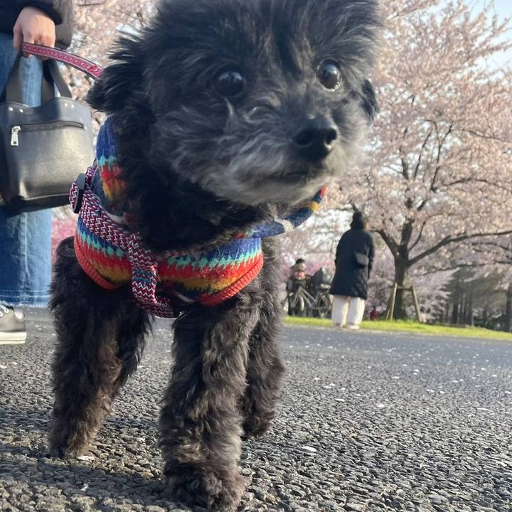 A0750d24 268c 4dc0 b536 fcd2d686c6d6 1648899372204