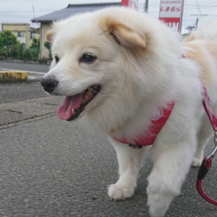 A0753bb7 5b47 4872 b822 4fd0ef8889f6 1529530562822