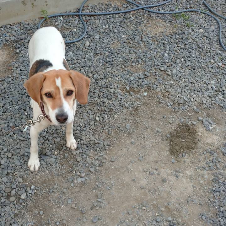 A075837f 0273 41f5 99c8 291111094ff1 1586853535778