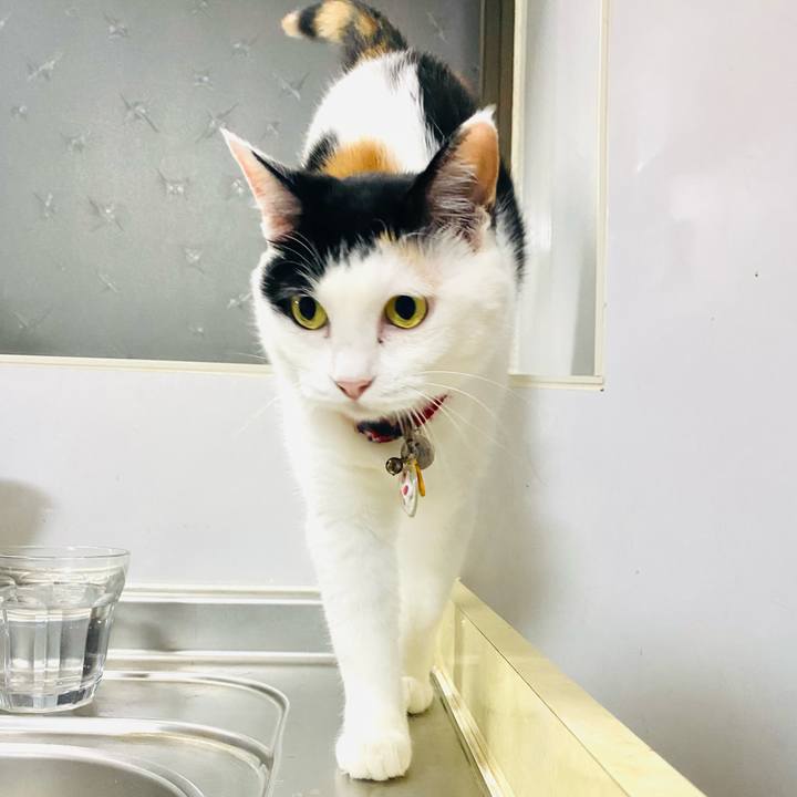 A07599fc d5a6 4257 8a59 7120104c2300 1721684239499