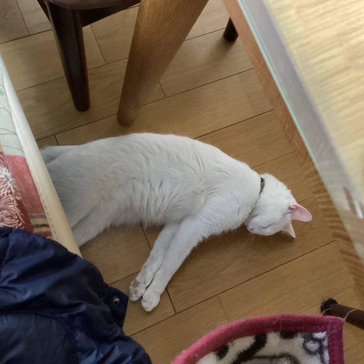 A075a950 c118 4458 b8b9 58a0f24e5016 1646626367873