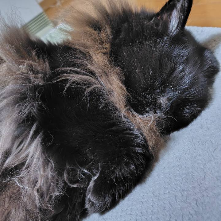 A075c284 12bf 4939 b7d9 0bd6378e7a7d 1731669309152