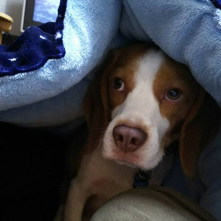 A075cd6a b9b9 49dd aef4 da76be5e0d0e 1543317538759