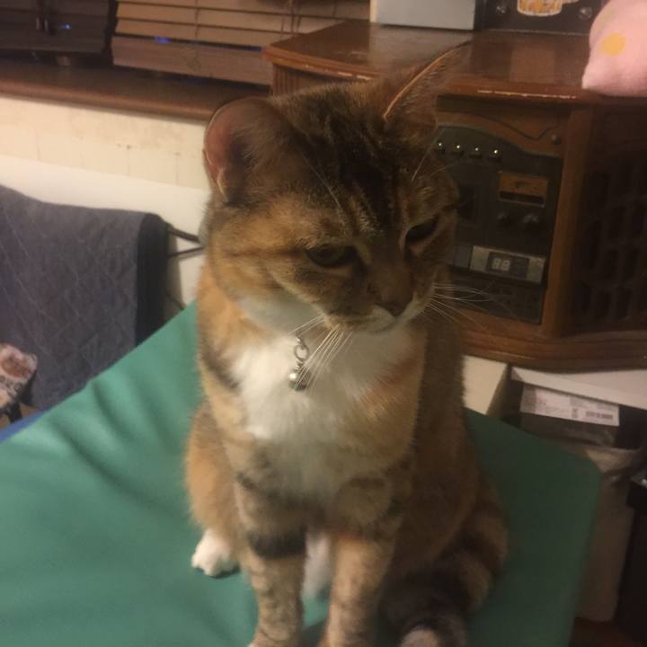 A07606b4 7121 457c bbb2 2019df34f82e 1552664333607