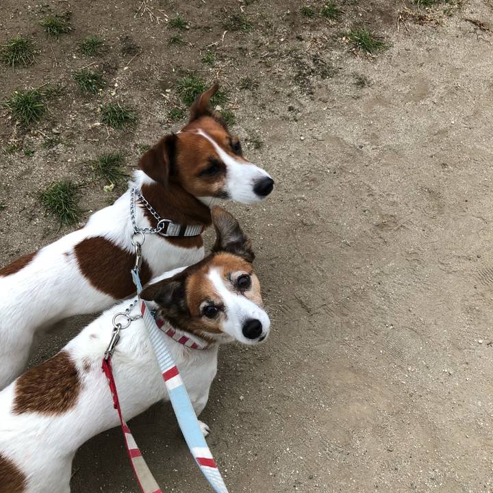 A0762482 f947 48ca 9834 1a8d776c7517 1515680034762