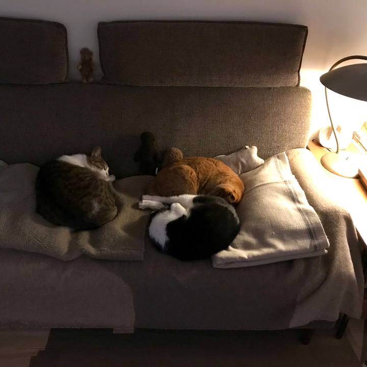 A07625de a490 4ef6 9fc7 f01fe6381d30 1516805031269