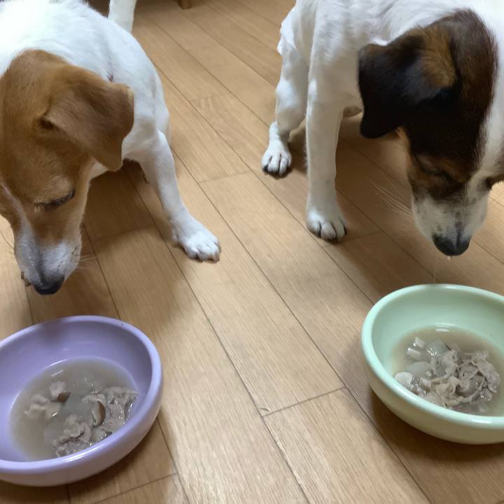 A07634aa 4368 45df 90f4 a17ce2482c76 1566290693379