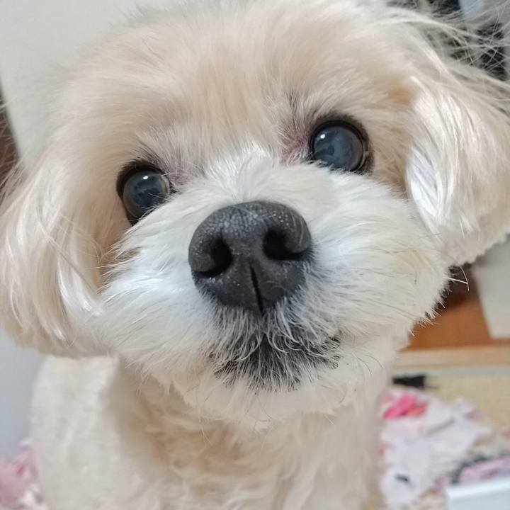 A0766bfa 2780 4e21 811b 9d691dbf9a47 1586689821829