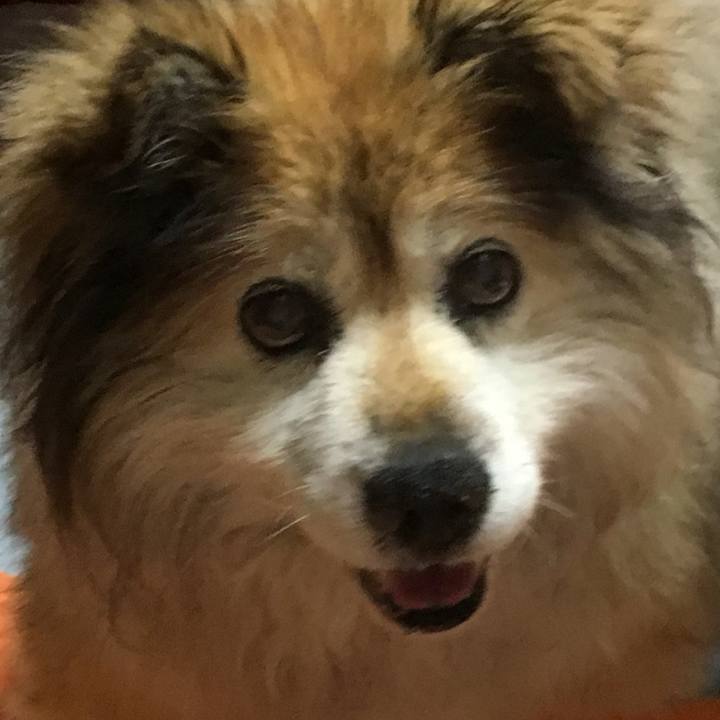 A0767530 7b4b 4ef5 a3f6 b506bb7ec6c0 1593021146317