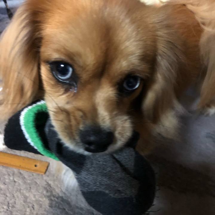 A076b207 40db 44ea bb06 592253e46a44 1542836537383