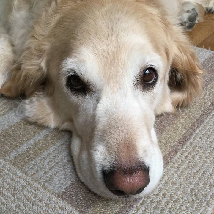 A076b681 c794 4e5f 8d61 cd0d4e7d7c4c 1560653195268