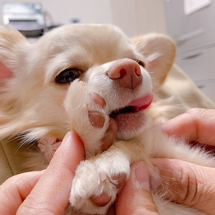 A076bae3 1580 4cd0 898e 9981025864cf 1615961097514