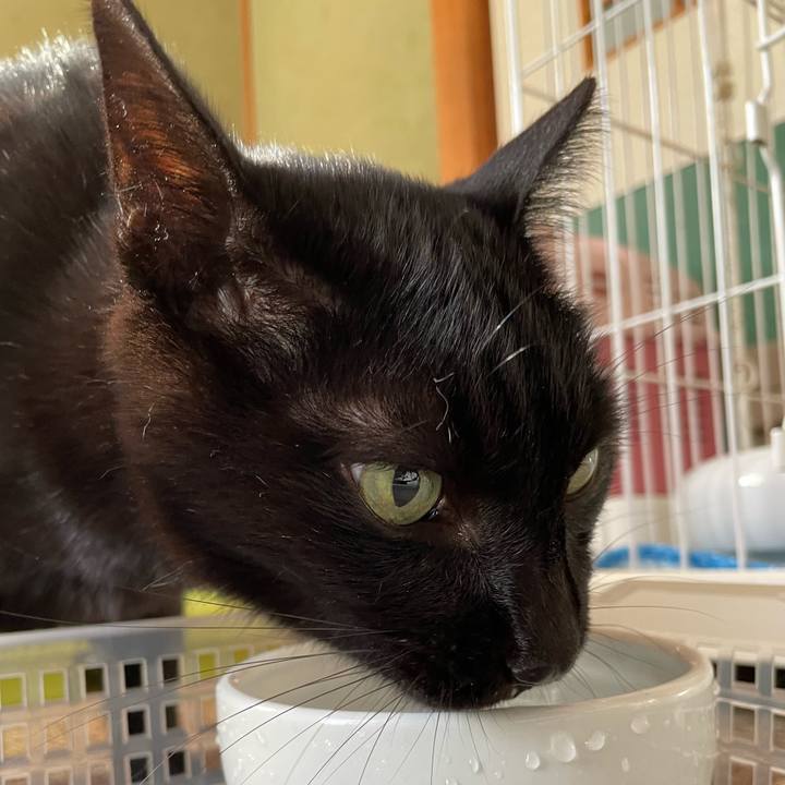 A076cb2d 42bc 4953 a7bc a0f58eea5f5b 1635905769879