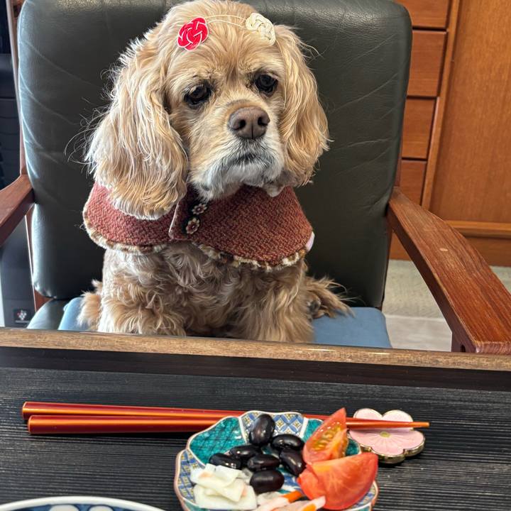 A0773cb4 fd47 4a4b b56e 552272ac1d9b 1767364403790