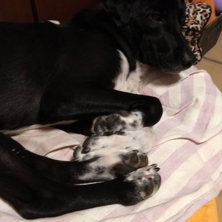 A0776603 c674 46c8 9bb5 9825ec9d8336 1586359250746