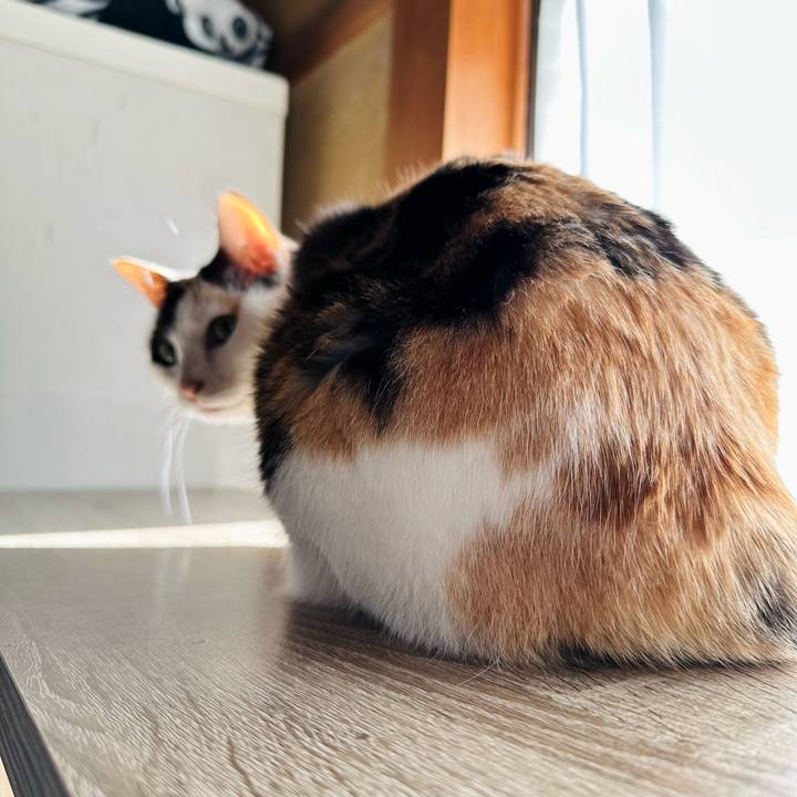 A0779ebb 5d16 4bfc af20 102b03300525 1705888023643