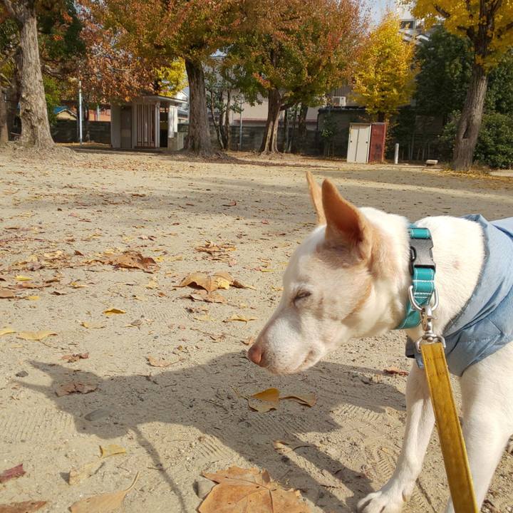 A077f582 843b 40d6 8720 b3b674a90c8d 1543118119305