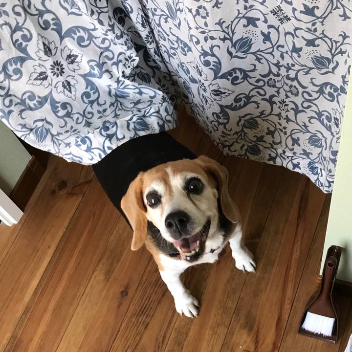 A077fdf9 7b39 4d2c 9c36 c221dc7cb686 1564205278711