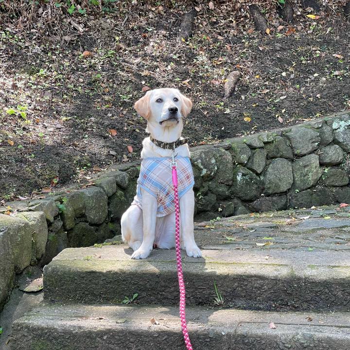 A0783017 5b26 418c 9198 4af971374167 1620962906691