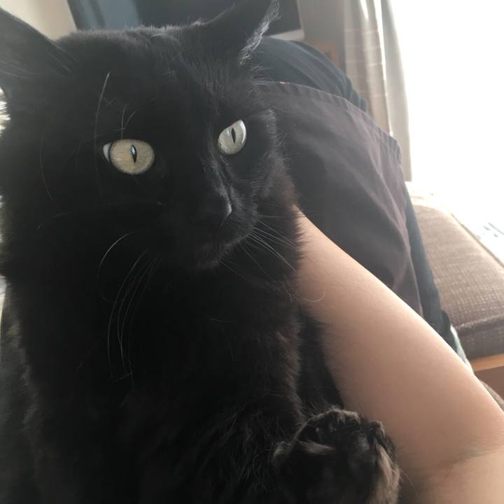 A0785dc7 f54c 43c1 9f39 a0ab6621b7b5 1522406366336