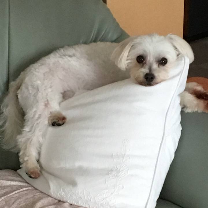 A0789ab9 fc1e 4f8d 96dd 859b86ee6a70 1623538713965