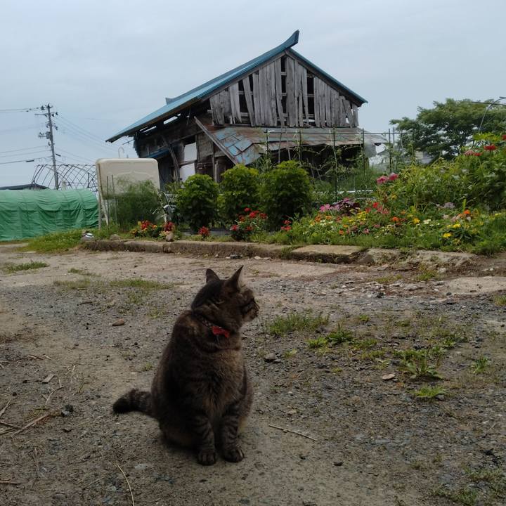 A078a285 5bae 4a33 b993 b5c4d10f46c8 1689720785940