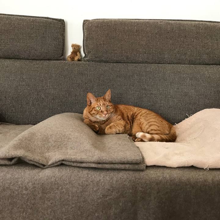 A078bc82 547f 455b 9e7c 6fc194e18af8 1514636257944