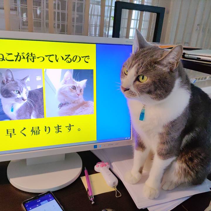 A078ca3b 1461 4aa6 ac96 d70b049b4955 1654753017150