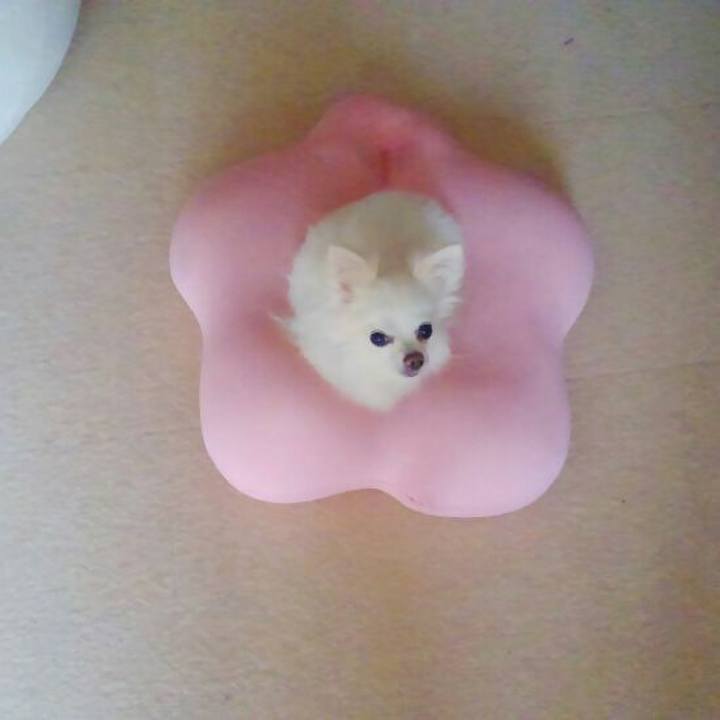 A078d5d9 f220 4c02 a82a b6c7fb330461 1548888499178